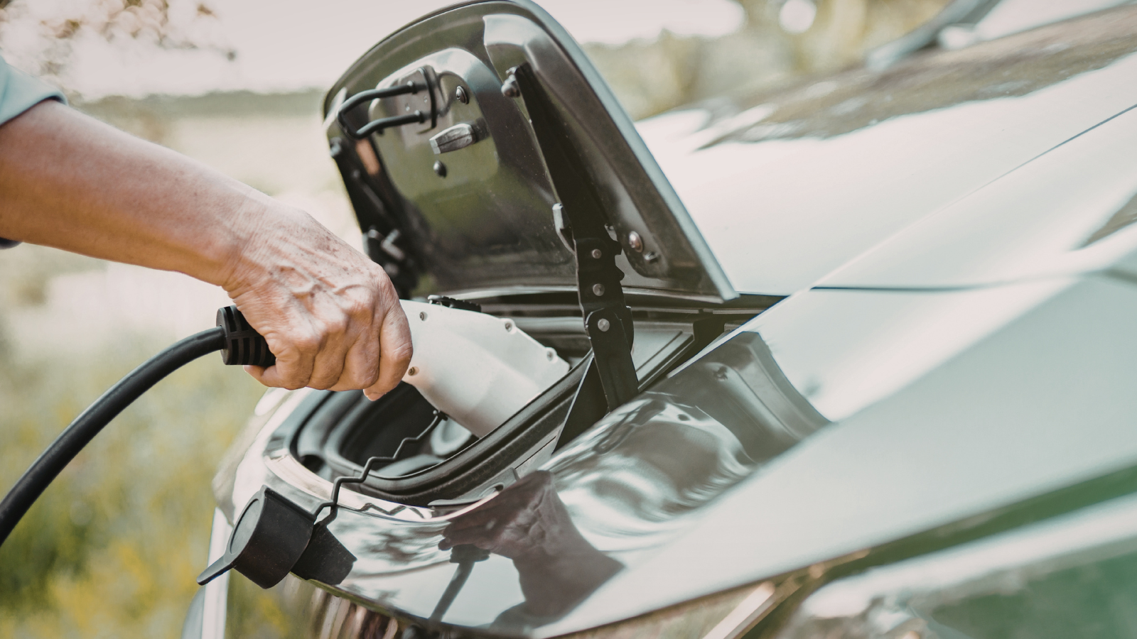 רכב פלאג אין מומלץ